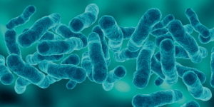 Hotel del Reino Unido – Control de Legionella